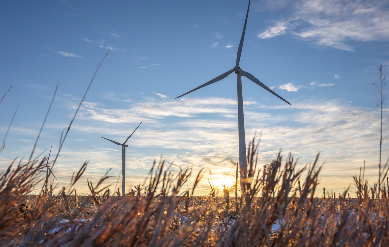 Wind turbines in a field